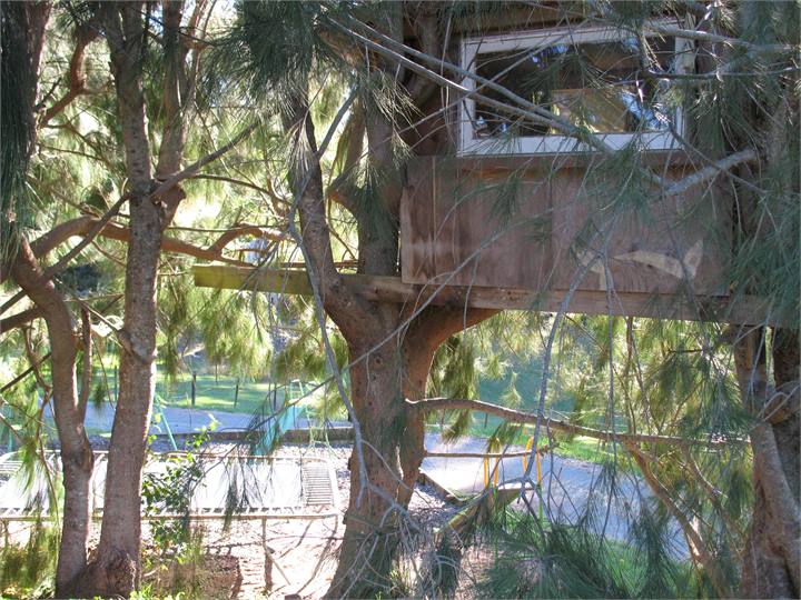 Treehut + big playground