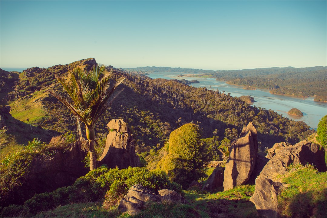View of the Whanganui (Westhaven) Inlet