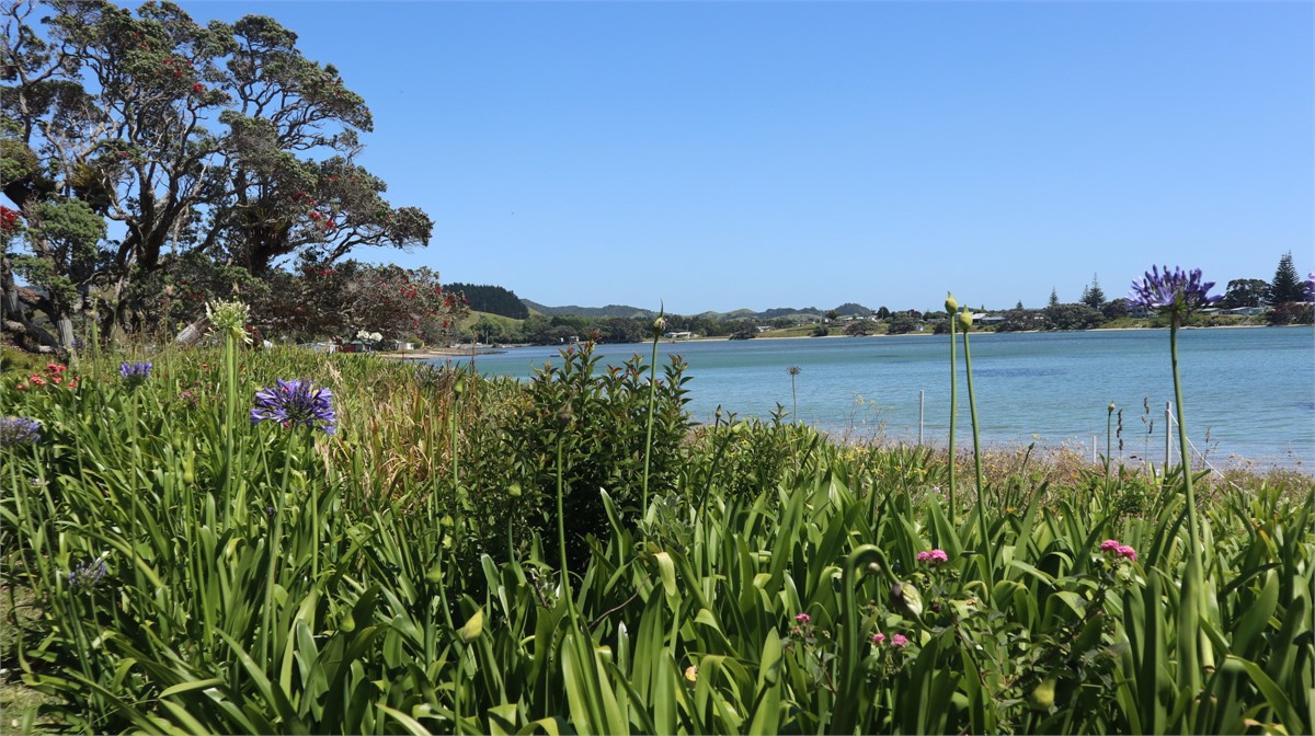 From west from cabin