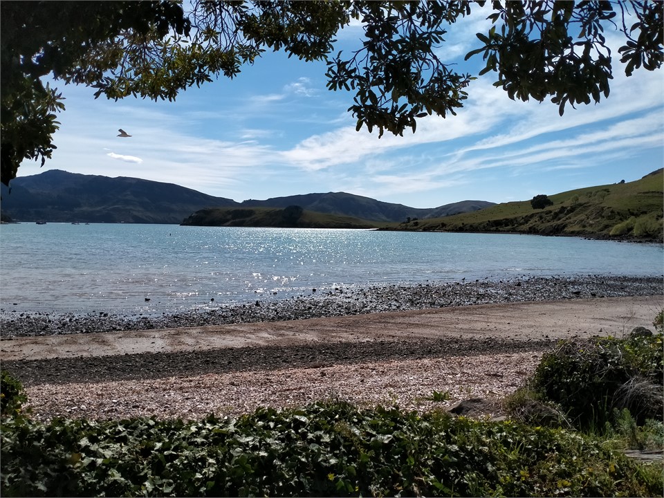 Purau beach from just across the road
