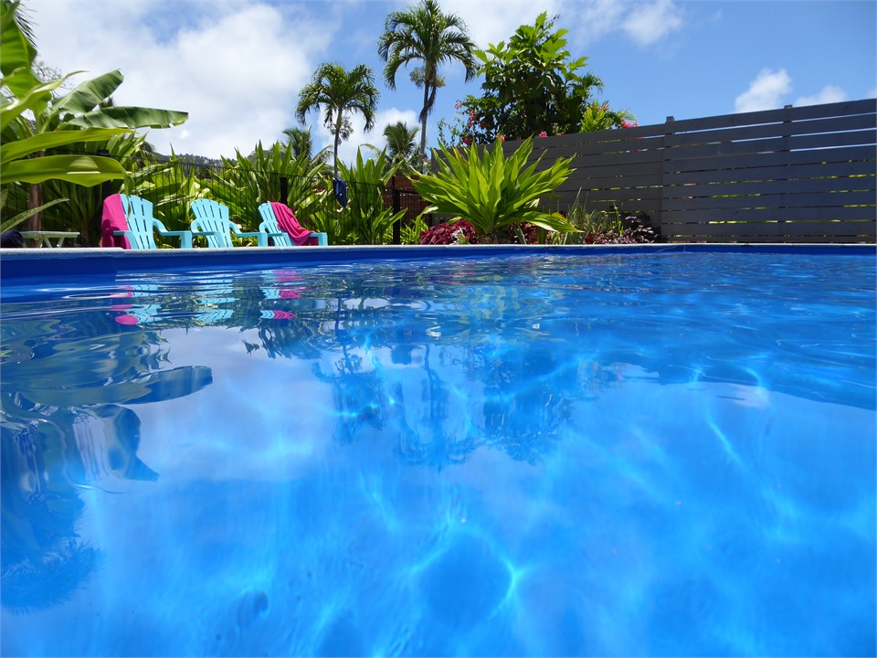 the pool is only used by a handful of guests