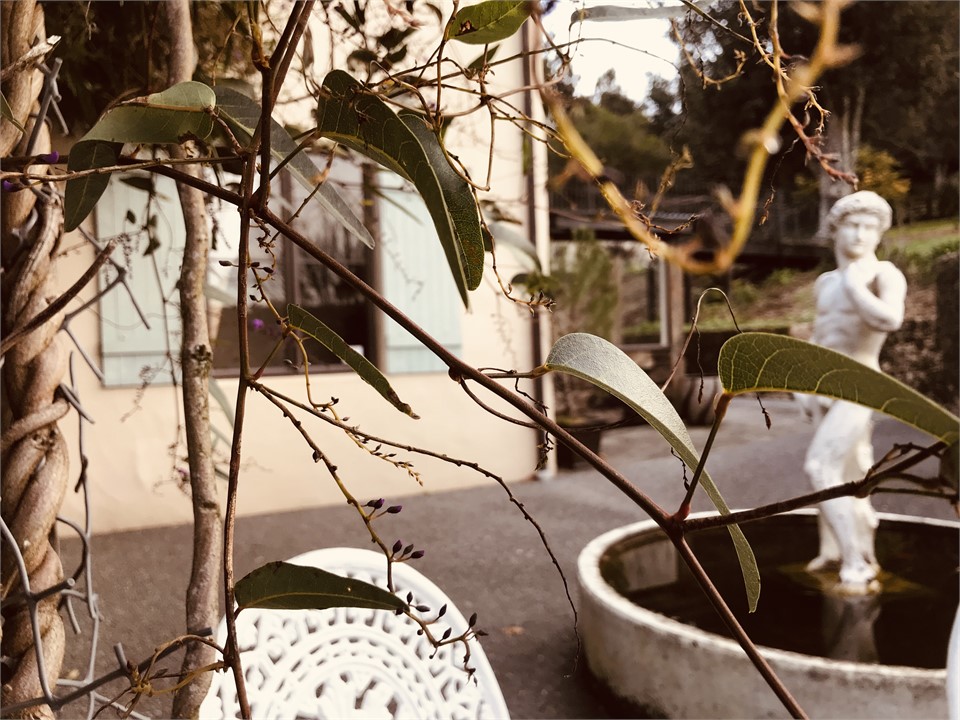 water feature in patio