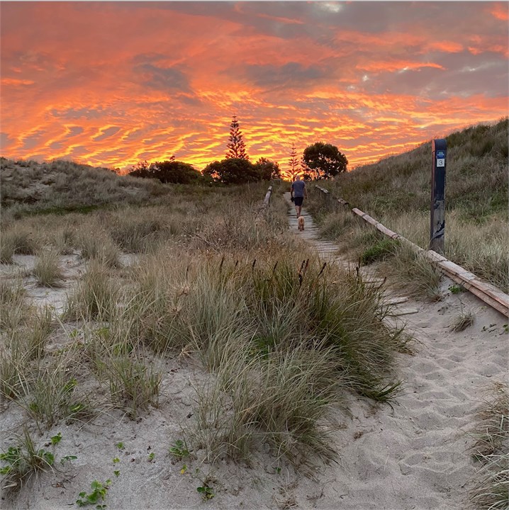 Walkway to beach