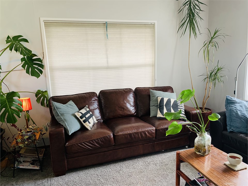 Wairarapa Retreat Carterton Cottage for rent Holiday Houses