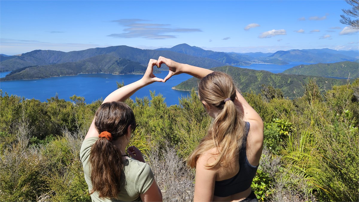 Great views from the top of the hill