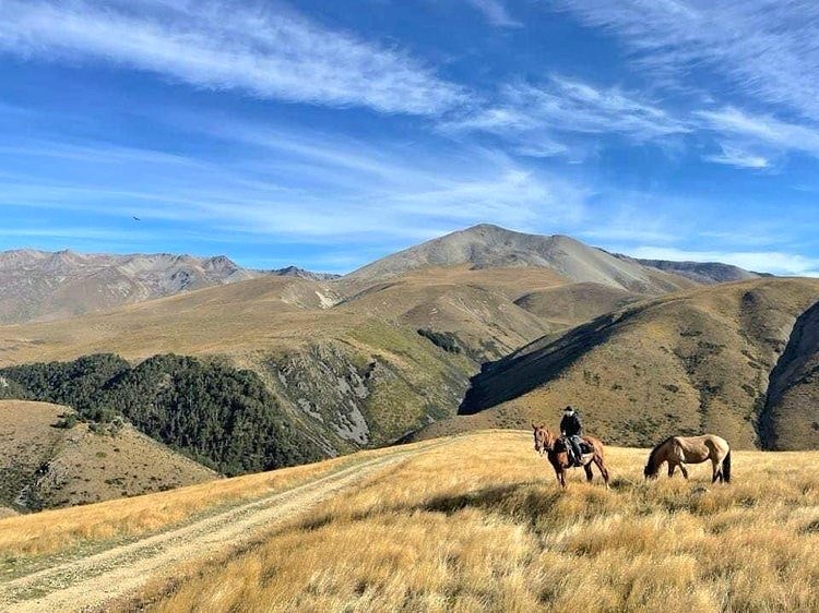 Potential for own horse trekking option