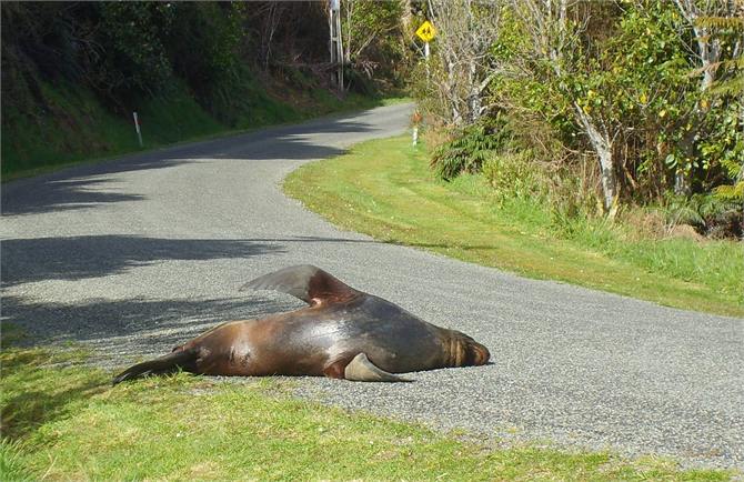 Nothing better than a breeze up the armpits!