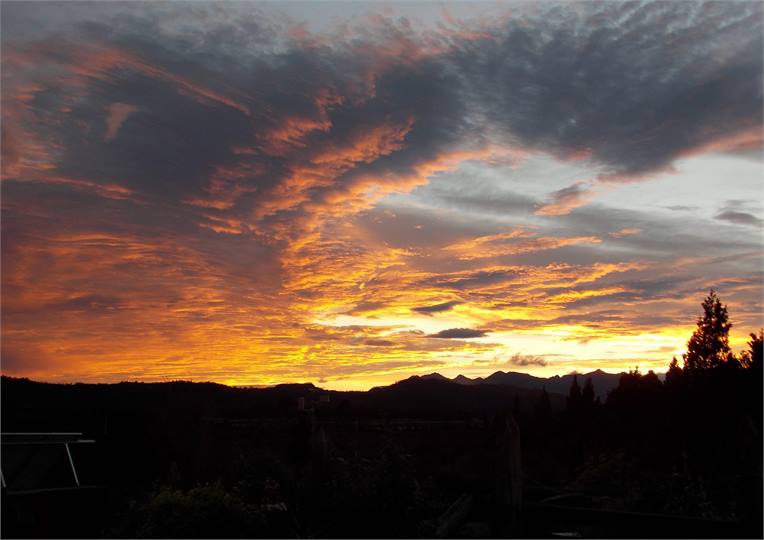 A common sight here.