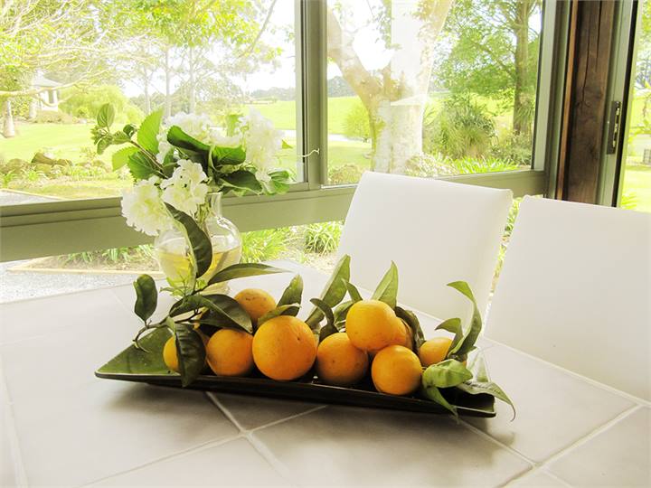 Oranges fresh from the tree