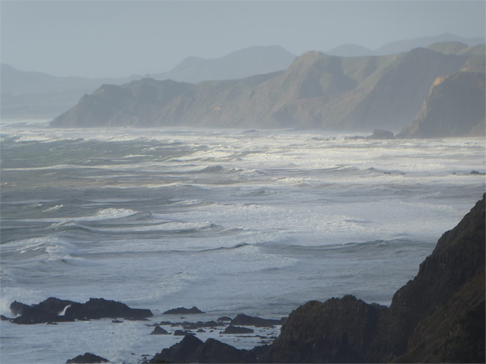 Looking north along the coast.