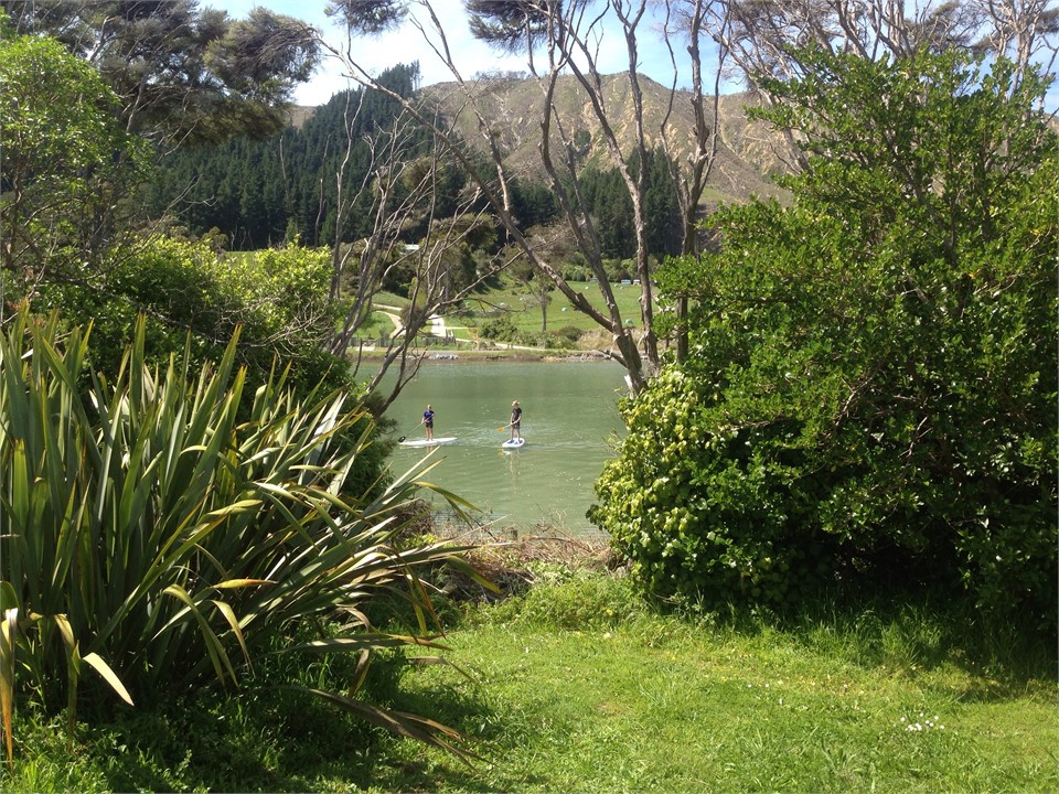 View from back deck to estuary