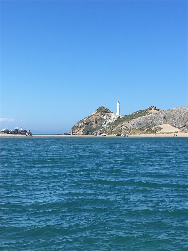 Castlepoint lighthouse , 10 min walk