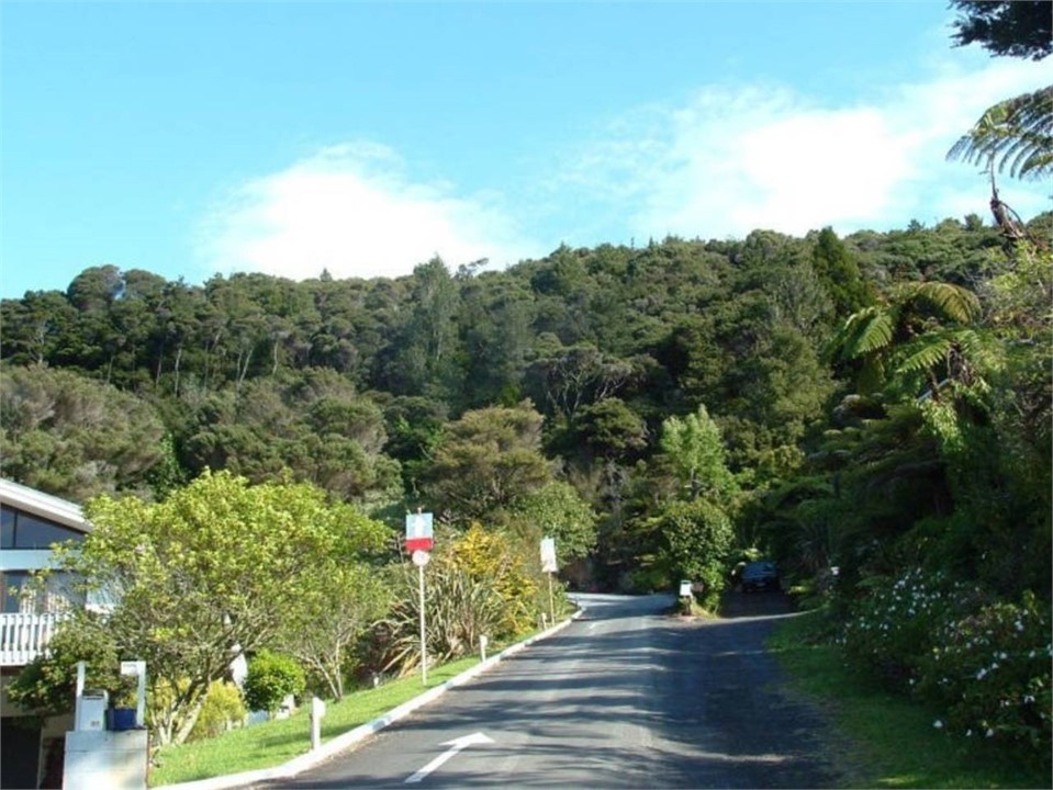 Looking up the driveway, hidden from the road