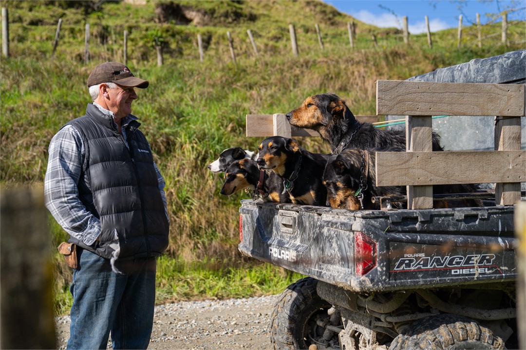 Simon and his team of work dogs
