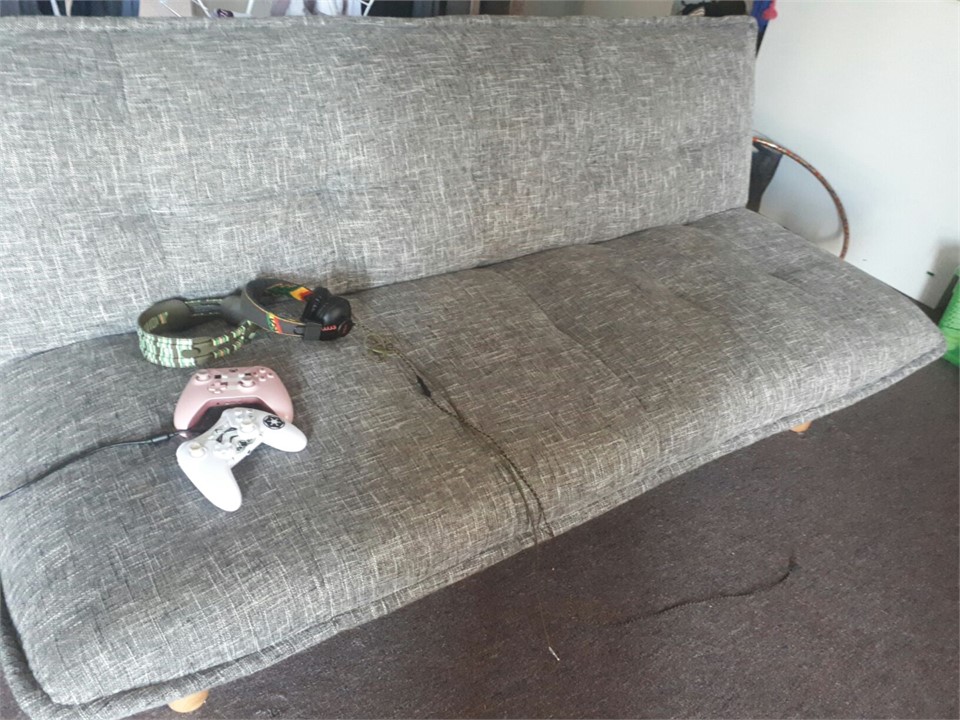 Sofa bed in Rumpus room