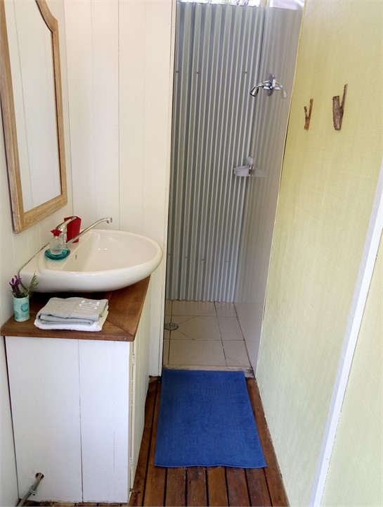 Waiotoi - The Shower