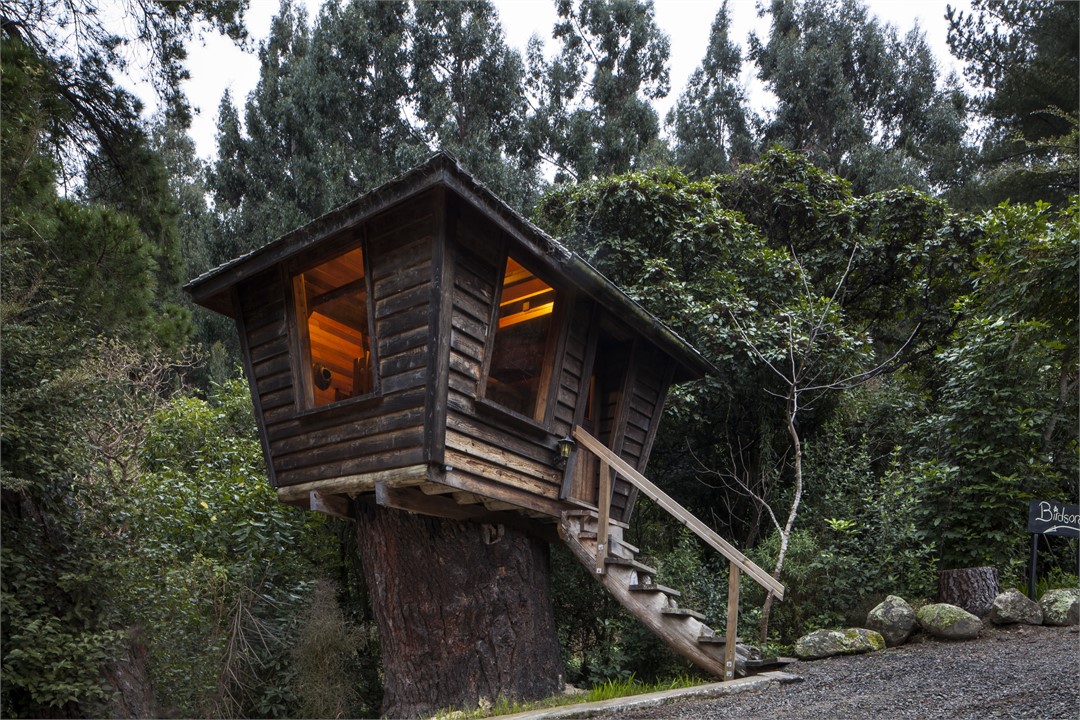 The cozy, third bedroom - a tree house!