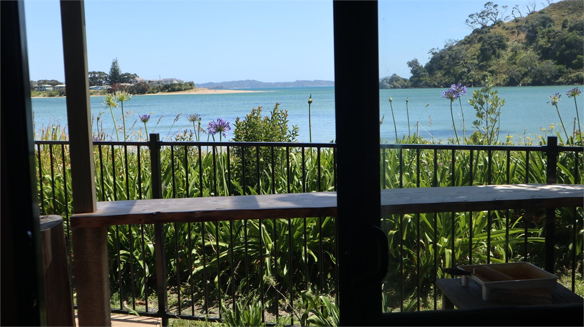 Another view from cabin to surf bar