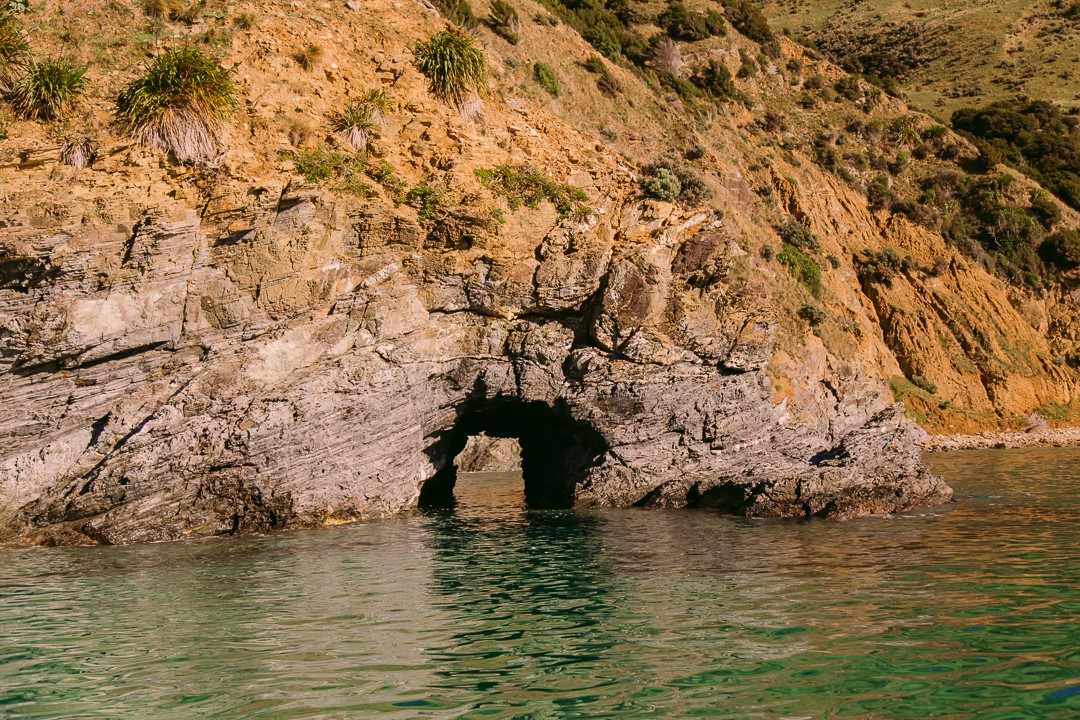Short boat drive around to Titirangi Farm Park
