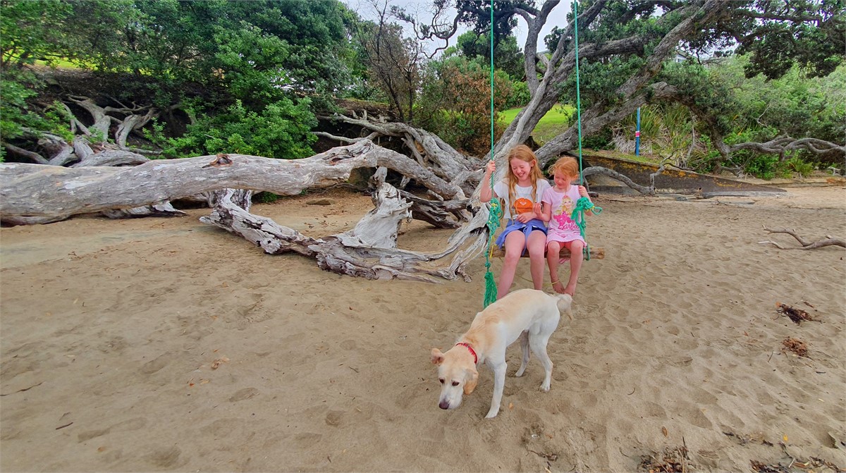 Pet Friendly (conditions apply)