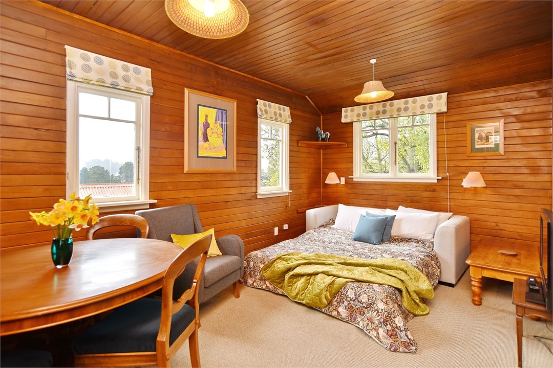 Living room with a TV and pull out Queen sofa bed