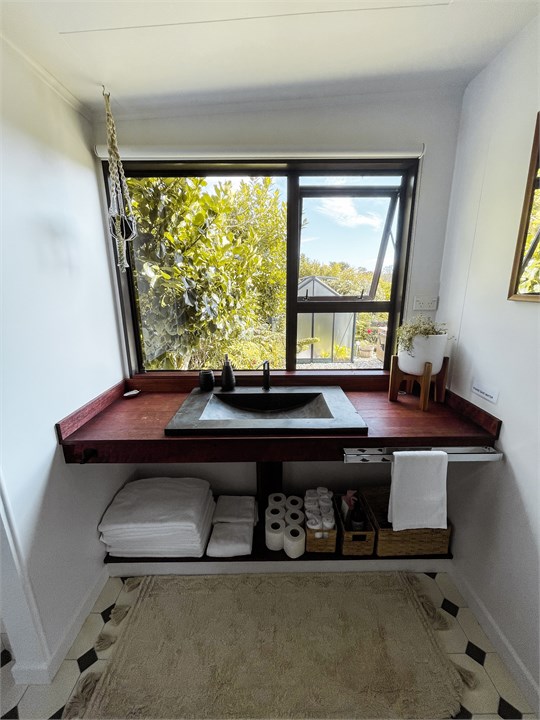 Bathroom - shower and toilet and view