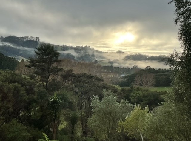 Early morning mist in our valley