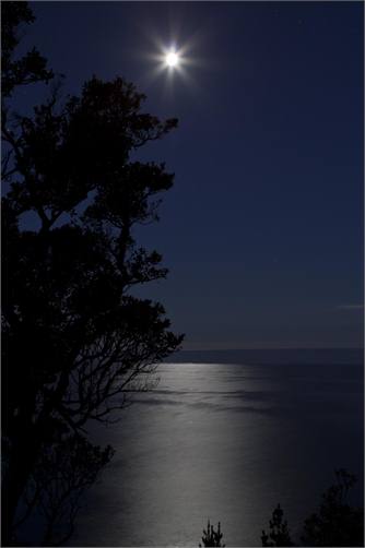 Full moon from the deck