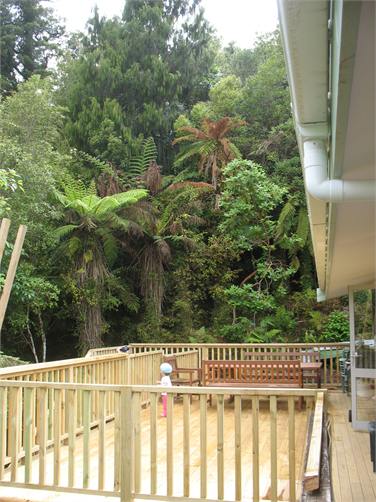 Deck surrounded by native bush