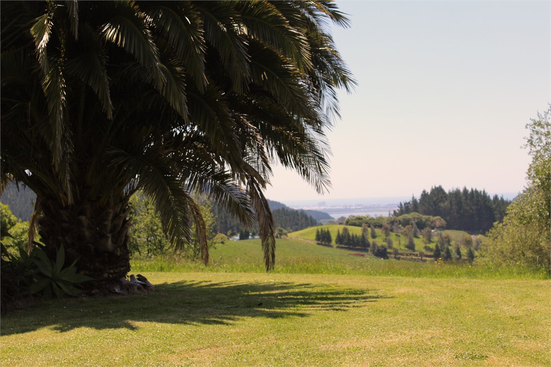 View to Mount Maungaui