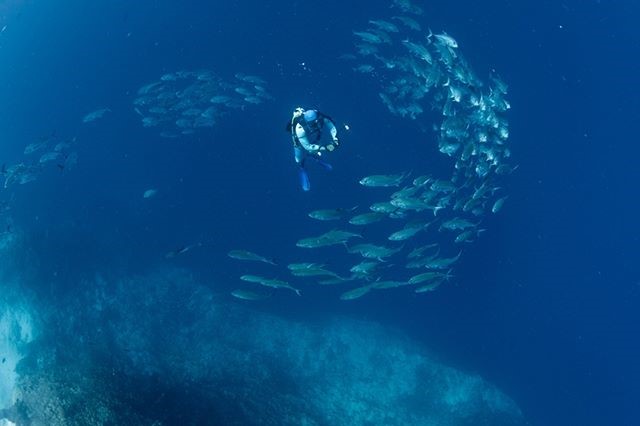 Local dive spot, our property sit just around the 