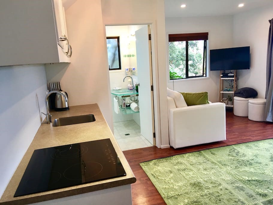 KITCHEN THROUGH BATHROOM AND LOUNGE ... TVs in BOT