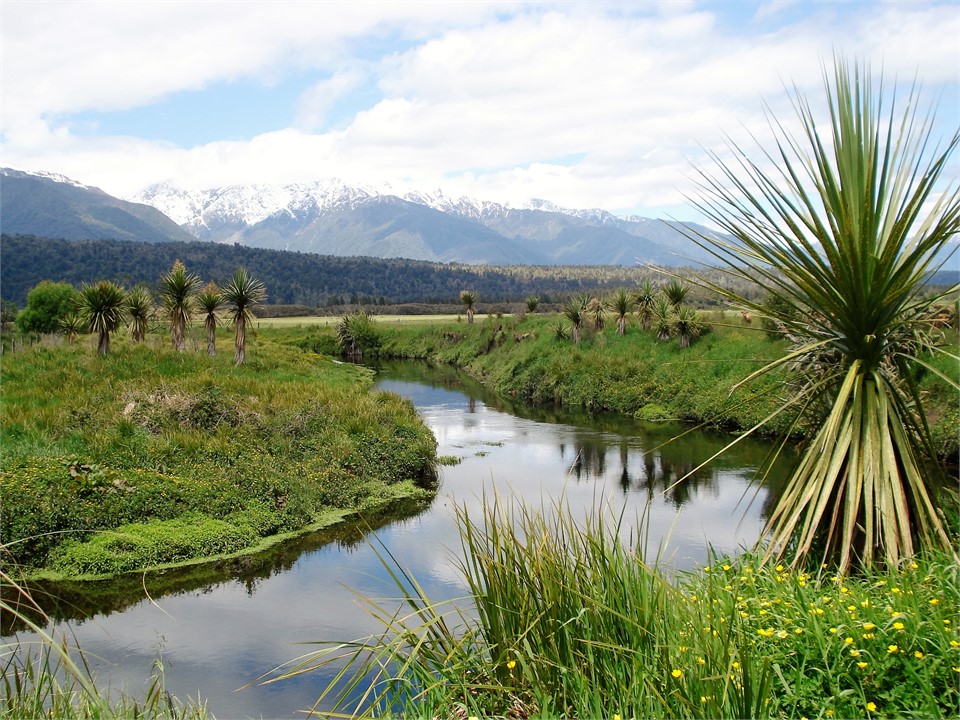 Try your hand at trout fishing