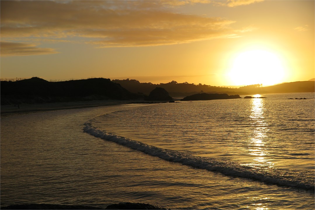 Anchor Bay, Tawharanui