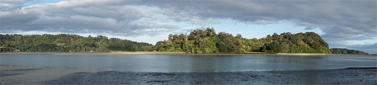 hokianga island