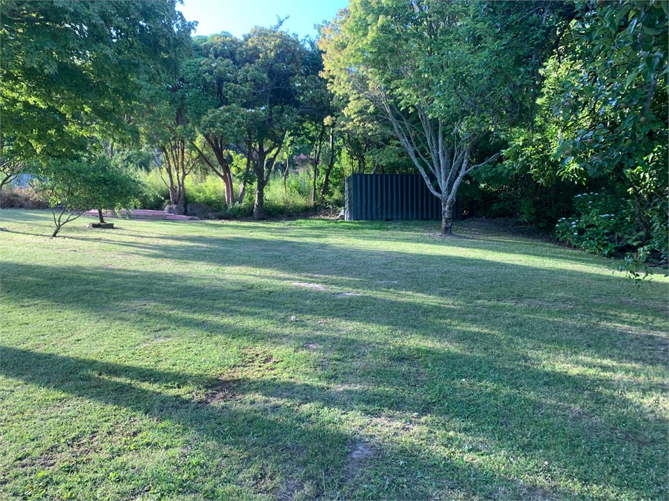 Backyard - plenty of parking for boats