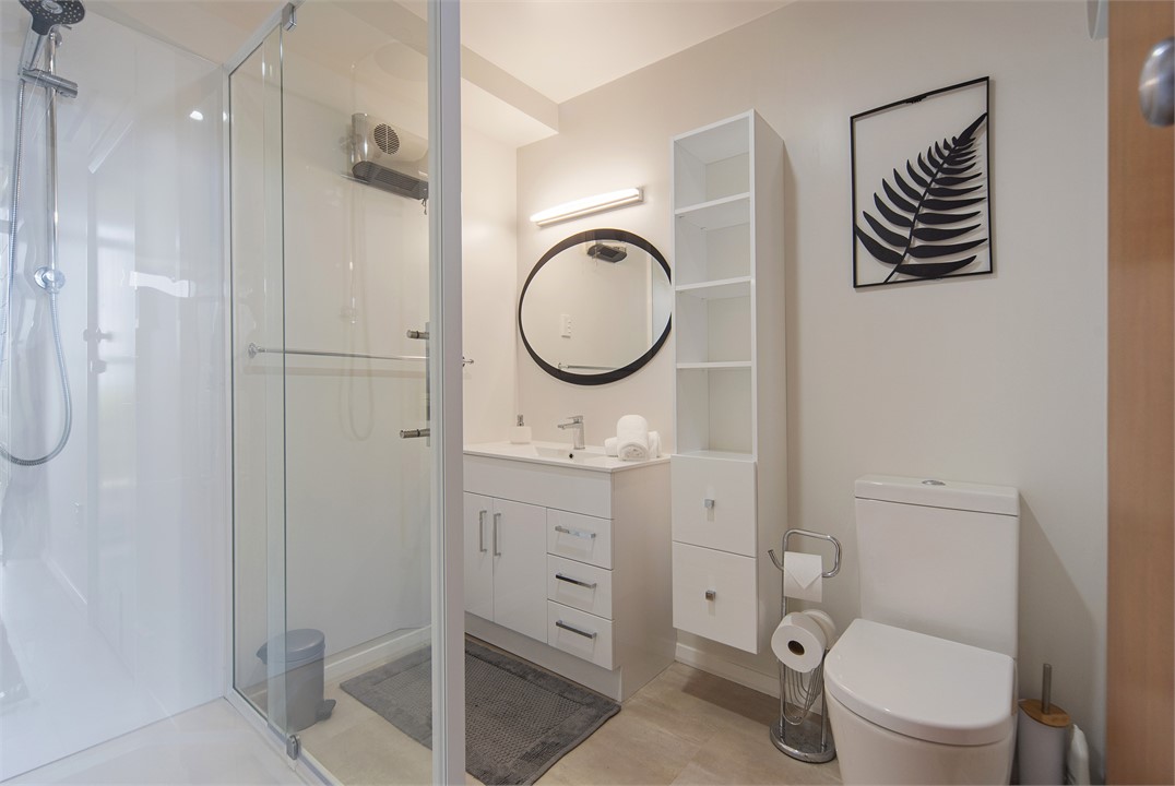 Main Bathroom (Downstairs)