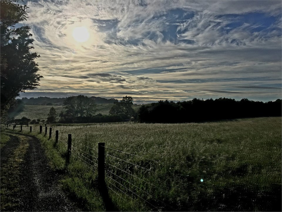 Looking down our drive