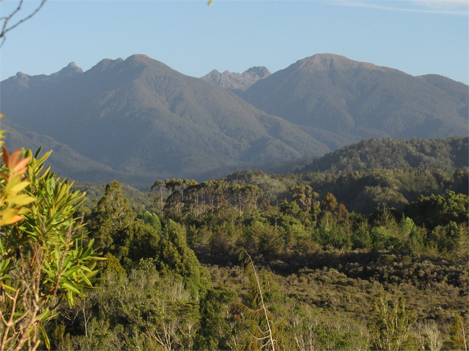 lookout over Paparoas and Totara Valley