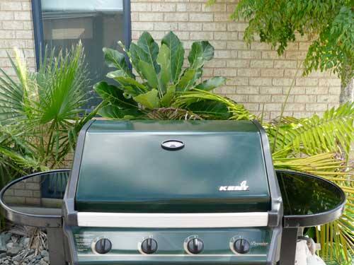 BBQ holiday home rental Waiheke Island