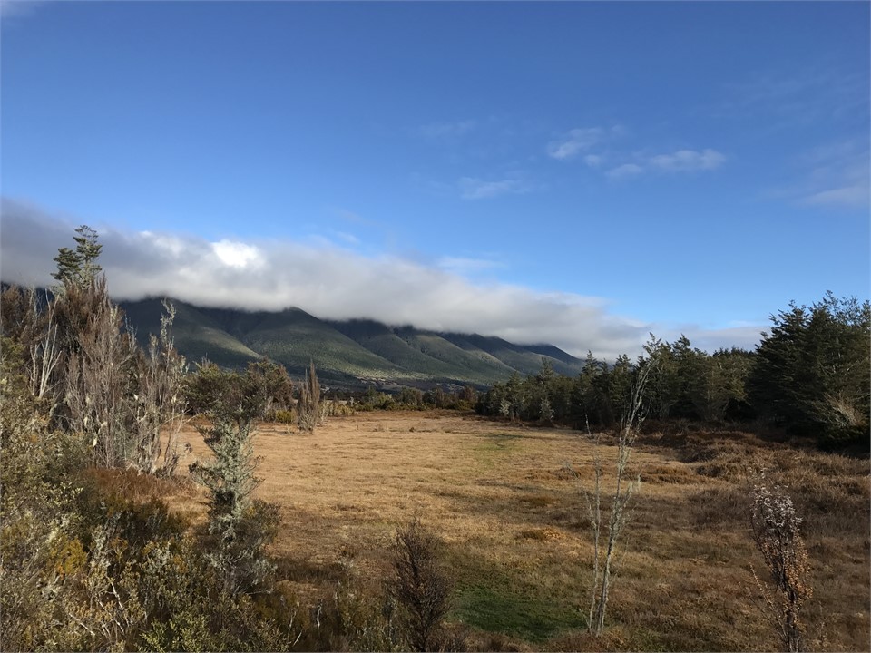 View from the rear of the property