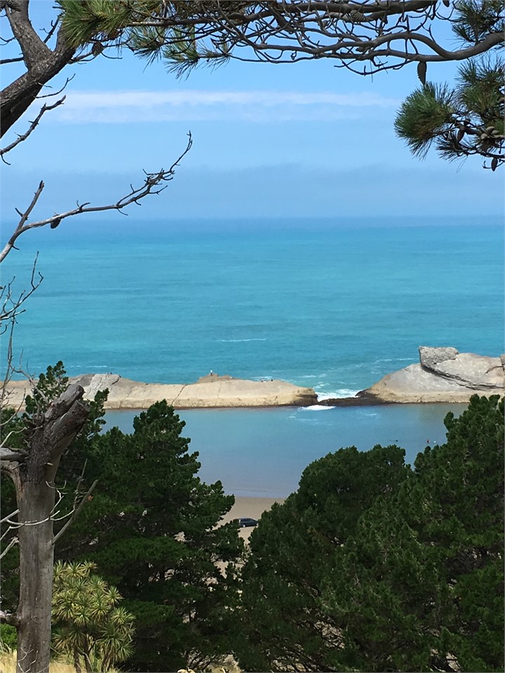 Reef behind th house, view from DOC land