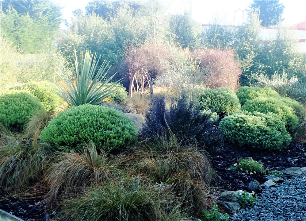 The front garden features NZ native shrubs
