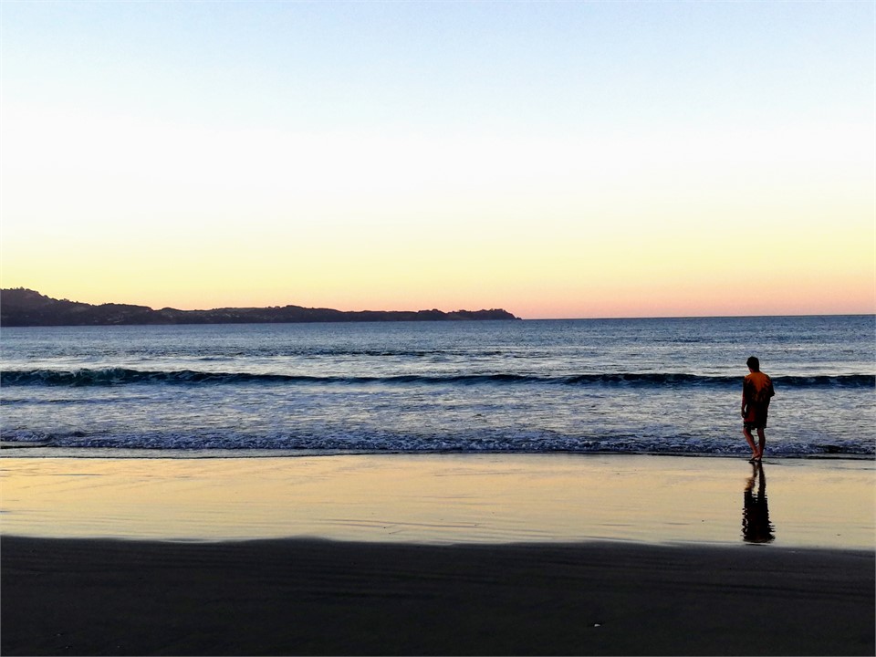 Anchor Bay, Tawharanui