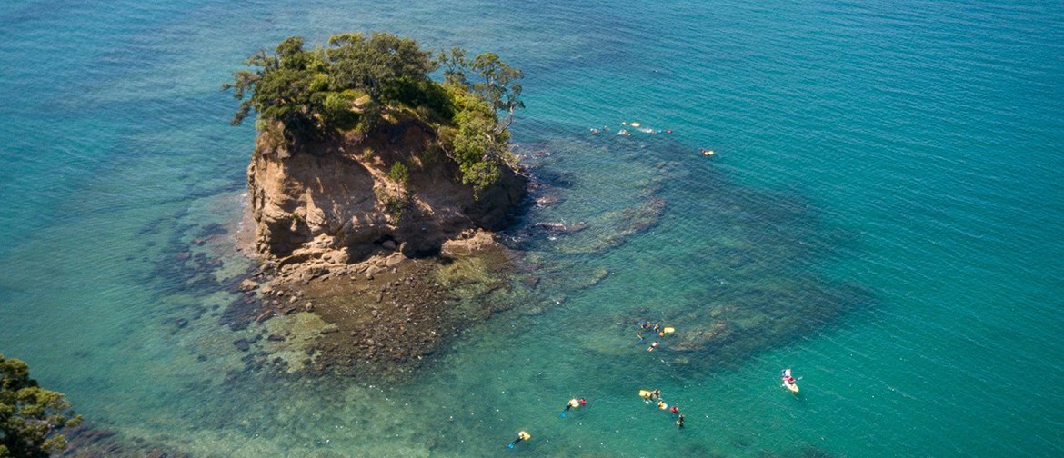 Small Island off Waiake Beach