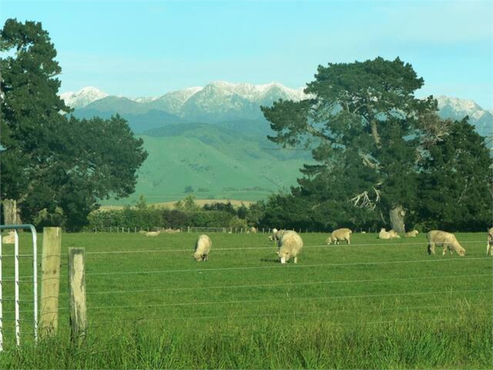 The Tararua Ranges