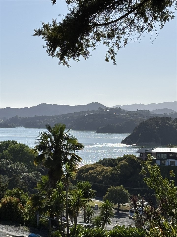 view from above Club Paihia