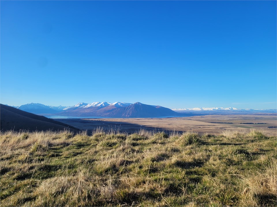 Potential for access to walk the hills