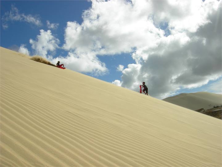 Te Paki Sand Dunes (90 minutes)