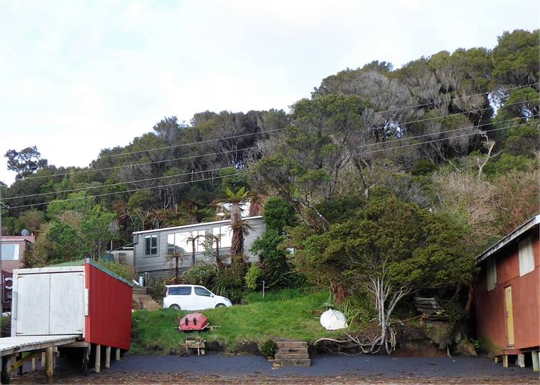 Beech bach from beach